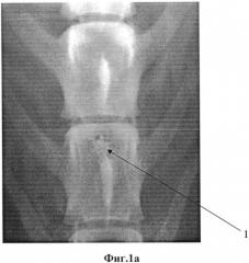 Имплантат для устранения дефектов костной ткани (патент 2565743)