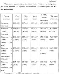 Комбинированное лекарственное средство для первичной нейропротекции (патент 2636616)