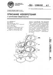 Устройство для изготовления химических источников тока (патент 1246182)