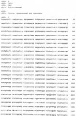 Трансгенное животное, отличное от человека, и его применения (патент 2579701)