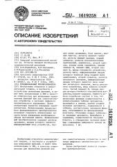 Функциональный преобразователь (патент 1619258)