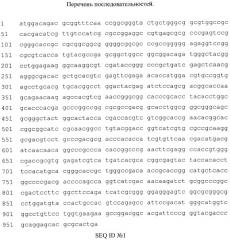Рекомбинантная двухдоменная лакказа бактерии streptomyces griseoflavus ac-993, обладающая высокой термостабильностью и щелочным оптимумом pн окисления фенольных соединений; фрагмент днк, кодирующий двухдоменную лакказу бактерии streptomyces griseoflavus ac-993; способ получения двухдоменной лакказы бактерии streptomyces griseoflavus ac-993 (патент 2539780)