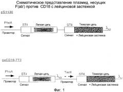 Способ очистки гетерологичного полипептида (патент 2337968)