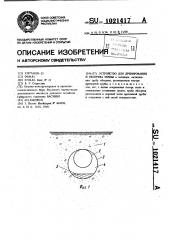 Устройство для дренирования и обогрева почвы (патент 1021417)