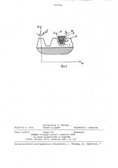 Устройство для контроля профиля зубьев червячных фрез (патент 1341496)