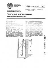 Технологическая камера (патент 1263528)