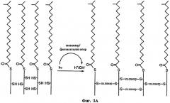 Композиции и способы, включающие фотокатализаторы (патент 2537838)