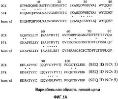 Способы идентификации опухолей, восприимчивых к лечению антителами против erbb2 (патент 2338751)