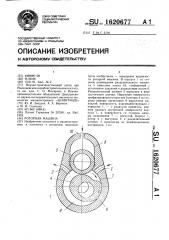 Роторная машина (патент 1620677)