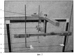 Устройство для фиксации головы при фотометрии (патент 2253361)