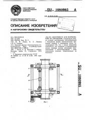 Центрифуга для формования тел вращения (патент 1080985)