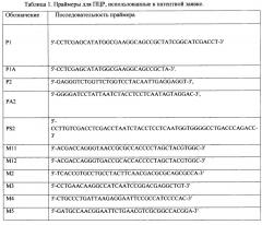 Генетическая конструкция для экспрессии функционально-активного человеческого стресс-белка (бтш70) с мутированными сайтами гликозилирования для наработки в эукариотических экспрессионных системах (патент 2647570)