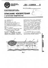 Устройство для гашения энергии волн в водоеме (патент 1120054)