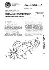 Способ уборки картофеля (патент 1175392)