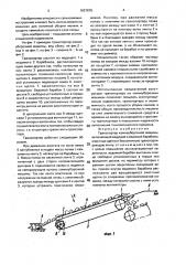 Транспортер камнеуборочной машины (патент 1637679)