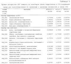 Новая гидрогеназа seq id no:5, очищенная из thermococcus onnurienus na1 с помощью моноokcида углерода, кодирующие ее гены, и способы получения водорода с использованием микроорганизма, имеющего указанные гены (патент 2460789)
