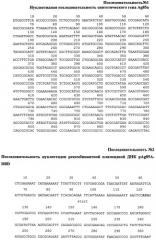 Способ получения иммуногенной композиции на основе гибридного белка ag85a-dbd и декстрана, рекомбинантная плазмида pag85a-dbd, штамм escherichia coli [prep4, pag85a-dbd], химерный белок ag85a-dbd (патент 2520078)