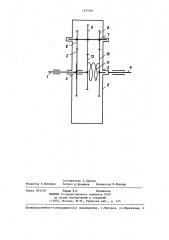 Упругая муфта (патент 1293381)