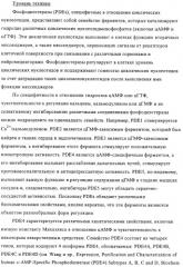 Применение производных анилина в качестве ингибиторов фосфодиэстеразы 4 (патент 2321583)