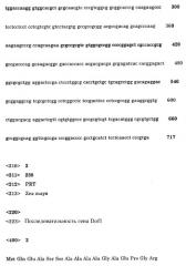 Картофель с повышенным выходом крахмала в пересчете на отдельное растение и способ его получения (патент 2289914)
