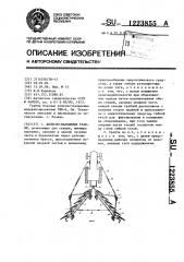 Колесно-пальцевые грабли (патент 1223855)