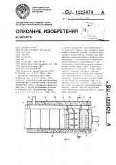 Устройство для изготовления замороженных горизонтально- стопочных безопочных форм (патент 1225474)