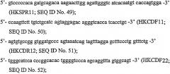 Комбинации антител, обладающих селективностью по отношению к рецептору лиганда, индуцирующему апоптоз, ассоциированный с фактором некроза опухоли, и других терапевтических средств (патент 2313368)