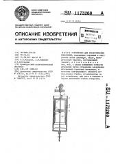 Устройство для реологических измерений (патент 1173260)