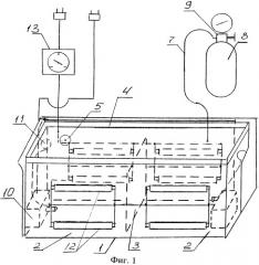 Установка для культивирования хлореллы (патент 2477040)