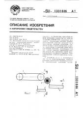 Устройство для отделения кочанов капусты от растительных примесей (патент 1331446)