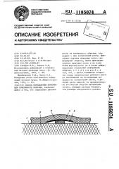 Способ определения деформации поверхности образца (патент 1185074)