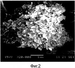 Комплексный способ использования биомассы, содержащей аморфный диоксид кремния (патент 2579447)