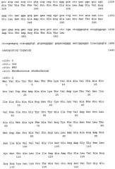 Нитрилаза из rhodococcus rhodochrous ncimb 11216 (патент 2283864)