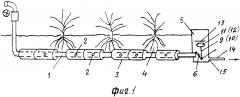 Устройство для подпочвенного орошения при выращивании влаголюбивых растений (патент 2616374)