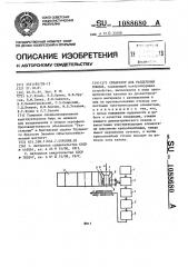 Сепаратор для разделения плодов (патент 1088680)