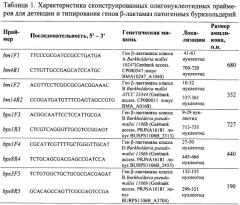 Олигонуклеотидные праймеры для детекции и типирования генов  -лактамаз патогенных буркхольдерий (патент 2474614)