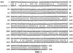 Днк, кодирующая новый пептид rg1 (патент 2283130)