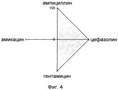 Способ выявления госпитальных штаммов (патент 2245922)