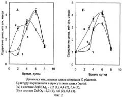 Способ получения обогащенной цинком биомассы спирулины (spirulina platensis) (патент 2277124)