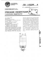 Вибрационный насос (патент 1193306)