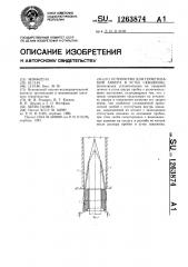 Устройство для герметизации анкера в устье скважины (патент 1263874)