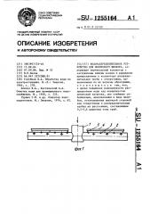 Водораспределительное устройство для ионитового фильтра (патент 1255164)