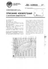 Способ разработки месторождений полезных ископаемых (патент 1239335)