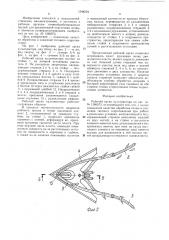 Рабочий орган культиватора (патент 1544204)