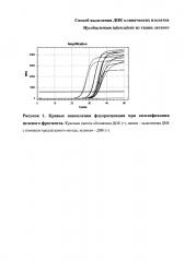 Способ выделения днк клинических изолятов mycobacterium tuberculosis из ткани легкого (патент 2659197)