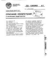 Способ сборки ультразвукового преобразователя (патент 1385063)