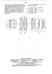 Проекционная панкратическая система (патент 569998)