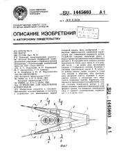 Устройство для извлечения корнеплодов (патент 1445603)