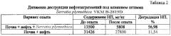 Штамм бактерий serratia plymuthica -деструктор нефти и нефтепродуктов (патент 2560272)