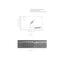 Способ прогнозирования риска развития хронического калькулезного холецистита у мужчин (патент 2598749)